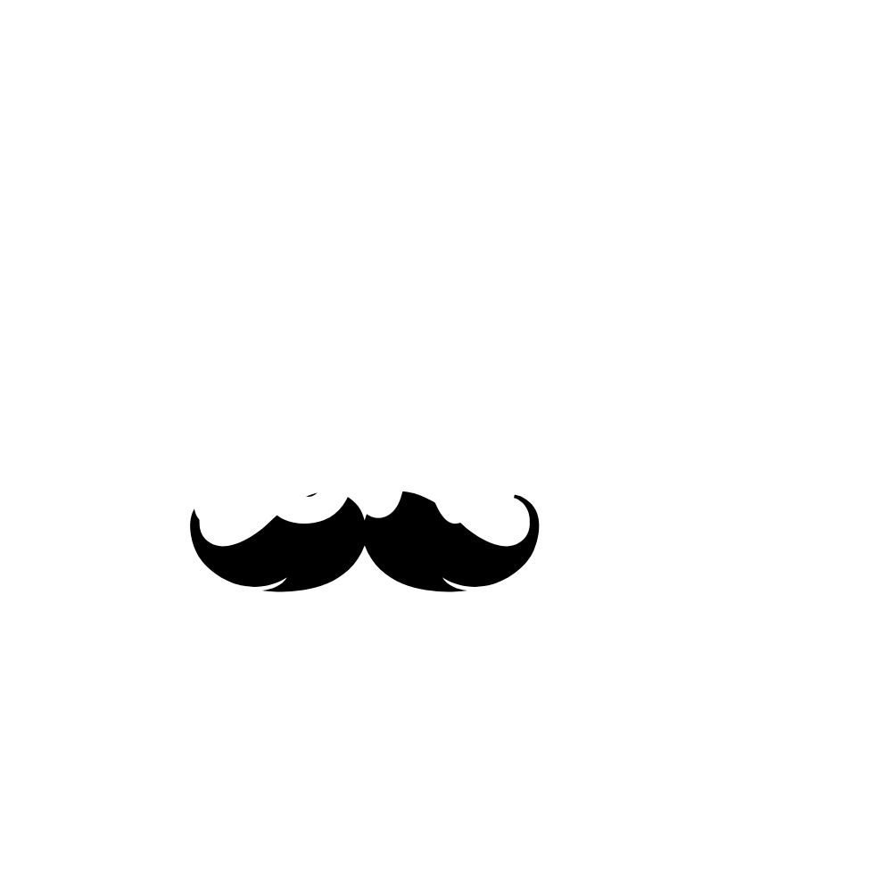 Stormen white logo